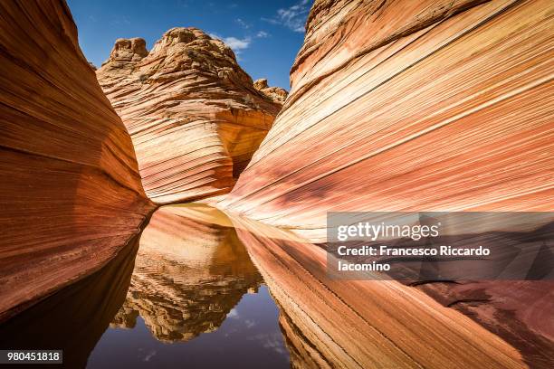 arizona - paria canyon vermilion cliffs wilderness area stock pictures, royalty-free photos & images