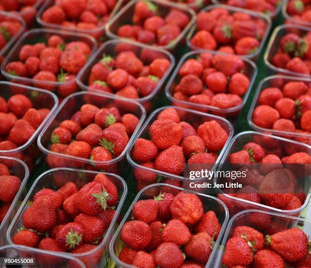 strawberries - fruit carton stock pictures, royalty-free photos & images