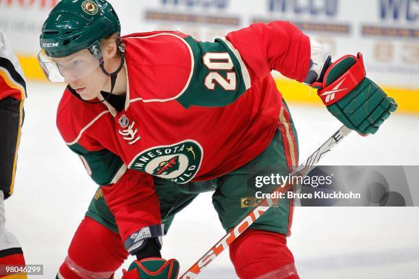 Antti Miettinen of the Minnesota Wild prepares for a face-off against the Calgary Flames during the game at the Xcel Energy Center on March 21, 2010...