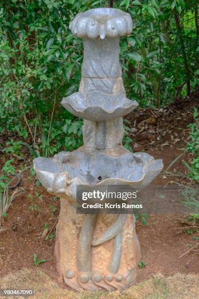 high resolution photography water fountain made of soapstone with details of decoration in mushroom and frog format, zen garden, são paulo brazil on june 16, 2018 - soapstone - fotografias e filmes do acervo