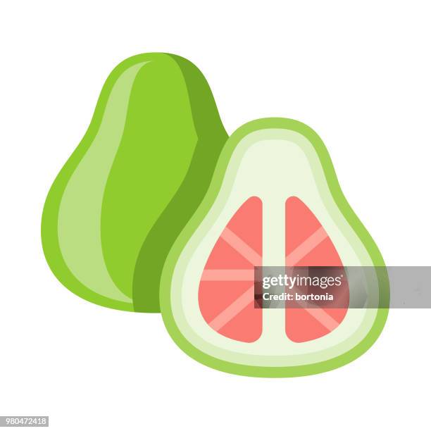 pomelo flat design fruit icon - pummelo stock illustrations