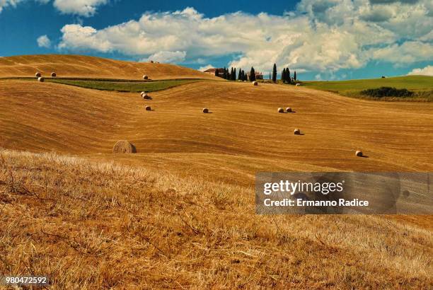 hay bales in field, crete senesi, tuscany, italy - radice stock pictures, royalty-free photos & images