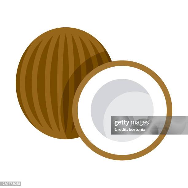 coconut flat design fruit icon - coconut water stock illustrations