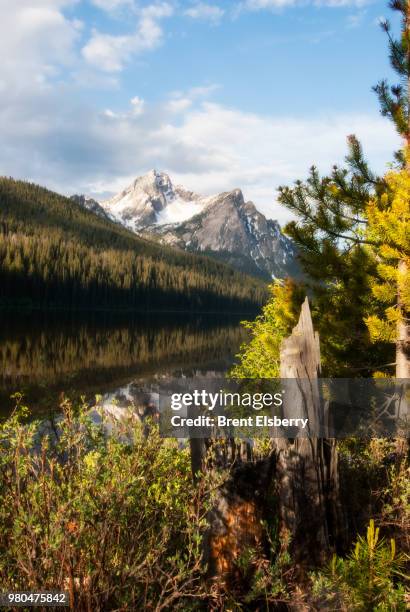 mountains of sawtooth range reflecting in stanley lake, custer county, idaho, usa - sawtooth national recreation area stock pictures, royalty-free photos & images