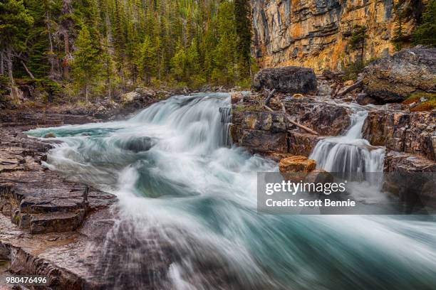 rapids of north saskatchewan river in banff national park, alberta, canada - saskatchewan river stock pictures, royalty-free photos & images