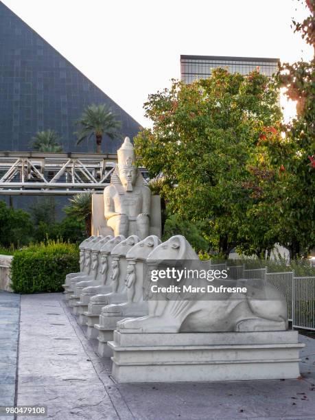 row of ancient egypt ram headed sphynx sculptures with pharaoh in front of luxor casino in las vegas during the day. - las vegas pyramid hotel stock pictures, royalty-free photos & images