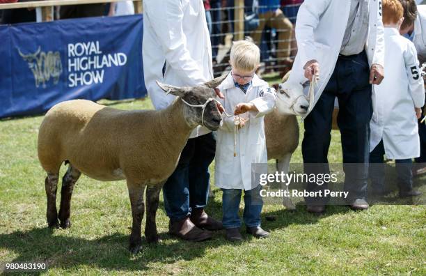 Children help out during the shows at the Royal Highland Show on June 21, 2018 in Edinburgh, Scotland.