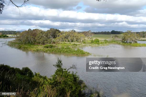 Cecil Hoskins Nature Reserve Photos and Premium High Res Pictures