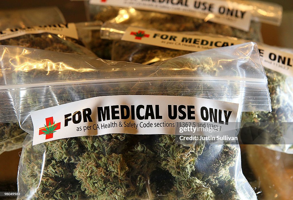 An Initiative To Legalize Marijuana In California To Appear On Nov. Ballot