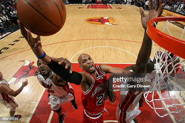 Taj Gibson of the Chicago Bulls shoots a layup against Udonis Haslem and Joel Anthony of the Miami Heat on March 25, 2010 at the United Center in...