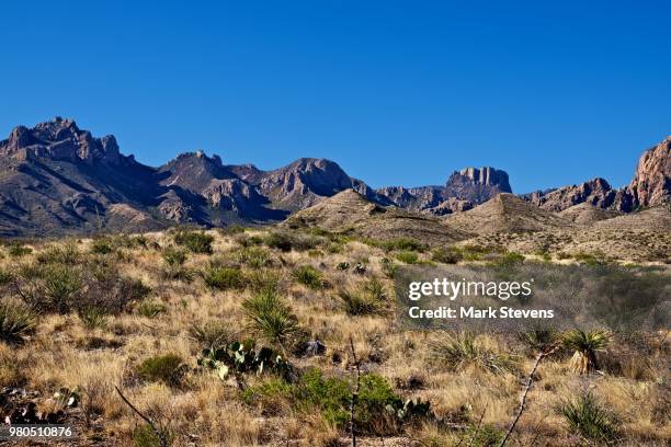 a roadside view of the chisos mountains - chisos mountains stock pictures, royalty-free photos & images