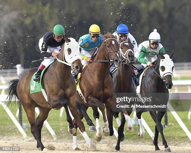 Jockeys Luis Antonio Gonzalez , Cornwlio H. Velasquez and John R. Velazquez battle for the early lead in the 27th running of the Sam F. Davis stakes...