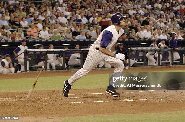 Arizona Diamondbacks outfielder Shawn Green bats against the Florida Marlins at Chase Field in Phoenix, Arizona on August 13, 2006.