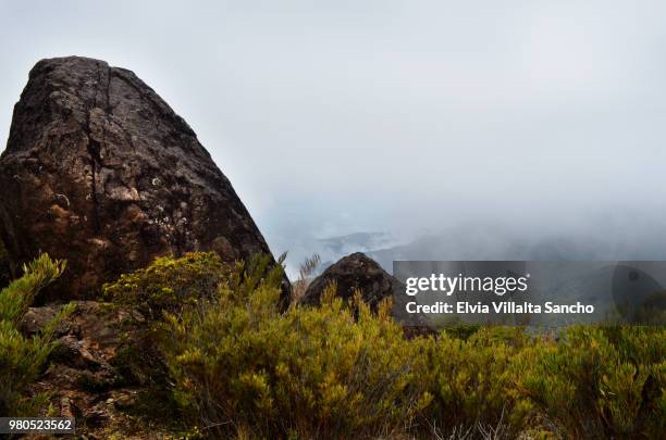 cerro de la muerte - muerte stock pictures, royalty-free photos & images