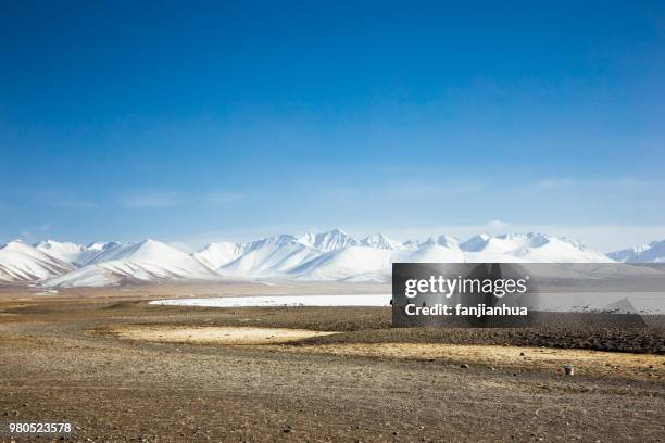 plateau landscape of tibet,china. - 芝生農場 ストックフォトと画像