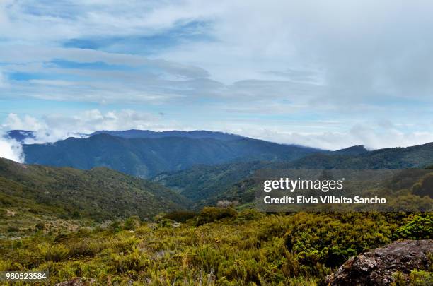 cerro de la muerte, costa rica - muerte 個照片及圖片檔