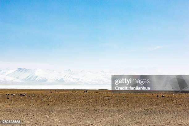 plateau landscape of tibet,china. - 芝生農場 ストックフォトと画像