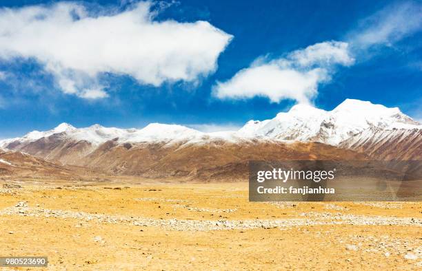 plateau landscape of tibet,china. - 芝生農場 ストックフォトと画像