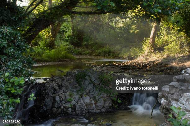 fosso vaccina castel giuliano - giuliano rios fotografías e imágenes de stock