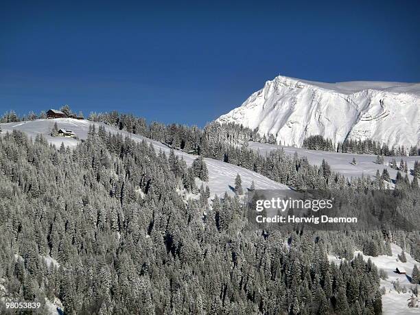 vorarlberg mountains in winter - rankweil stock pictures, royalty-free photos & images