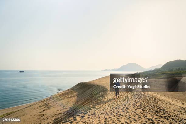 kvinnor traveler promenader i tha sanddyn tittar på havet - honshu bildbanksfoton och bilder