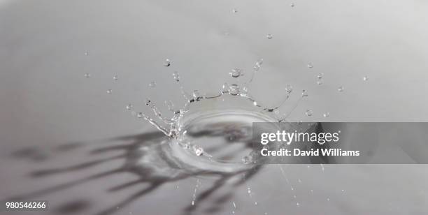 shadow - splash crown stock pictures, royalty-free photos & images