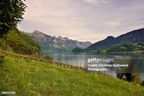 Walensee Background 200 Walensee Stock Photos, High-Res Pictures, and Images - Getty Images