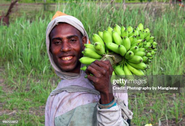 papuan bananas - papua new guinea market stockfoto's en -beelden