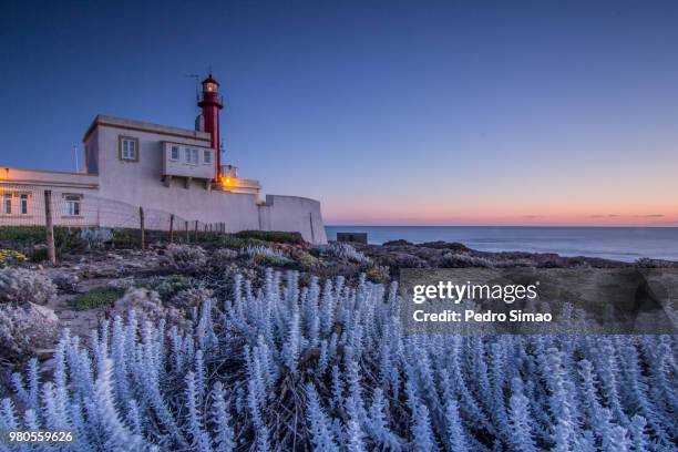 cabo raso lighthouse - raso 個照片及圖片檔