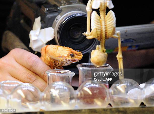 Sur une scène de Strasbourg, 300 crevettes décortiquent nos tranches de vie". Artists from the Hotel Modern Company from Rotterdam perform on stage...