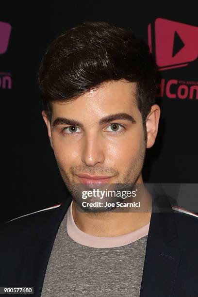 Daniel Preda attends the 9th Annual VidCon at Anaheim Convention Center on June 20, 2018 in Anaheim, California.