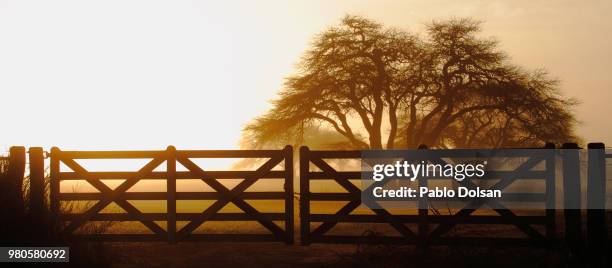 closed fence at sunset, la pampa, argentina - pampa argentine ストックフォトと画像