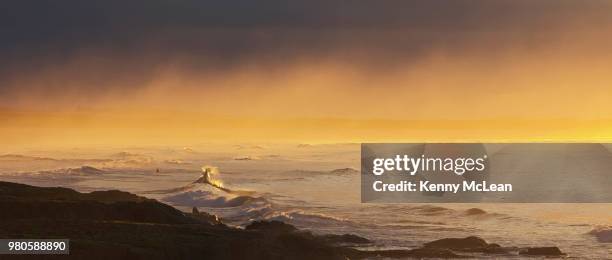 foggy seascape at sunset, bamburgh, northumberland, england, uk - bamburgh stock pictures, royalty-free photos & images