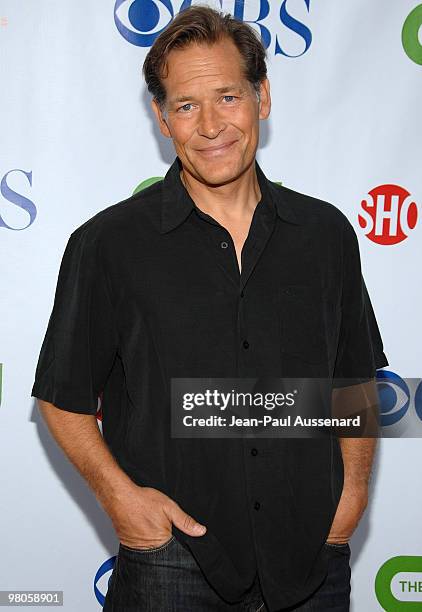 Actor James Remar arrives at the CBS, CW and Showtime Press Tour Stars Party held at Boulevard 3 on July 18th, 2008 in Hollywood, California.