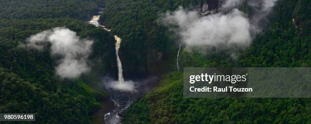 canaima national park, venezuela - angel falls bildbanksfoton och bilder