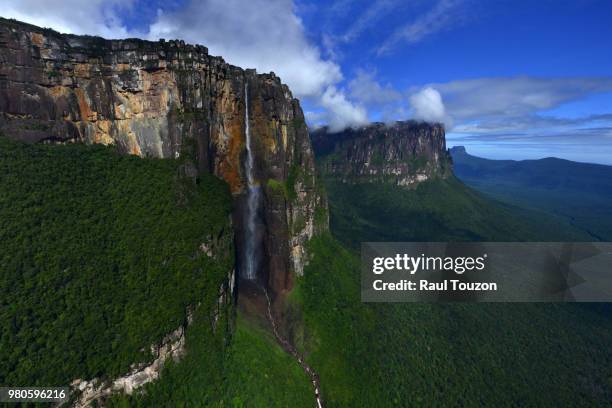 canaima national park, venezuela - angel falls stock pictures, royalty-free photos & images