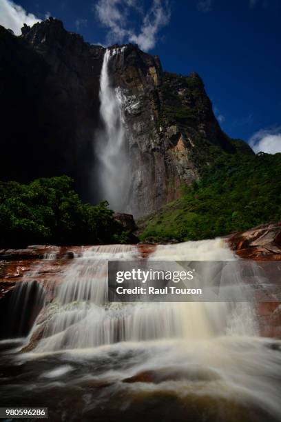 canaima national park, venezuela - angel falls bildbanksfoton och bilder