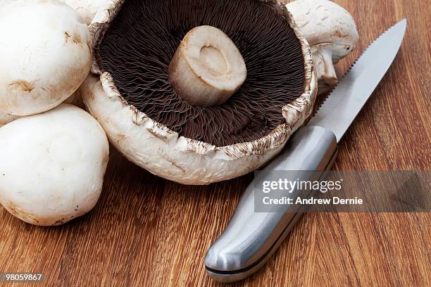 mushrooms - andrew dernie foto e immagini stock