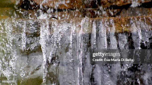 kleiner wasserfall - fresh water - wasserfall stock pictures, royalty-free photos & images