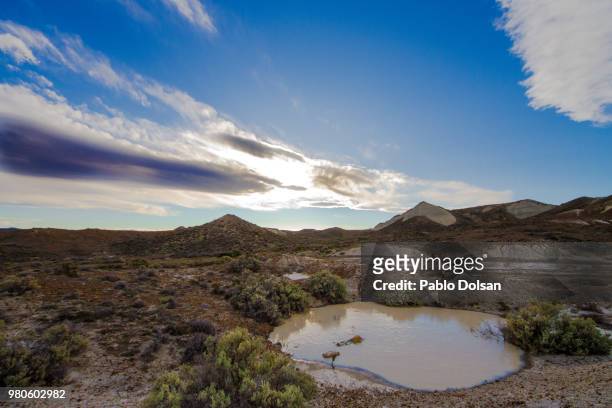 pond in barren landscape, chubut province, argentina - chubut province ストックフォトと画像