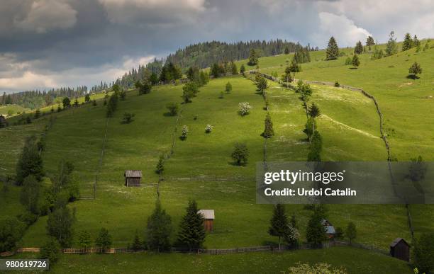 pasture on green hills, bukovina, romania - bukovina stock pictures, royalty-free photos & images