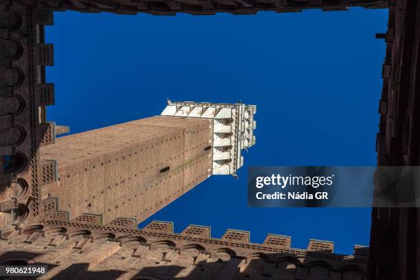 torre del mangia - torre del mangia stock pictures, royalty-free photos & images