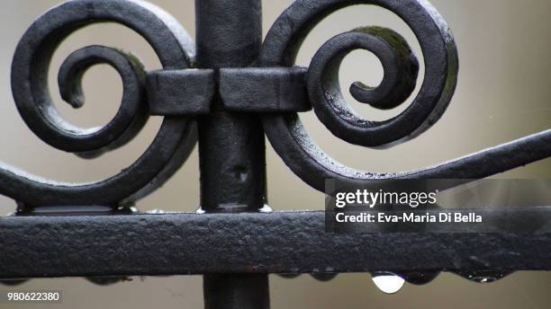 raindrops - regentropfen - regentropfen stockfoto's en -beelden