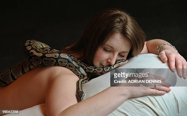 Carly, an employee at Chessington World of Adventures, poses for pictures as she enjoys a massage by two Royal Python snakes at a photocall to...