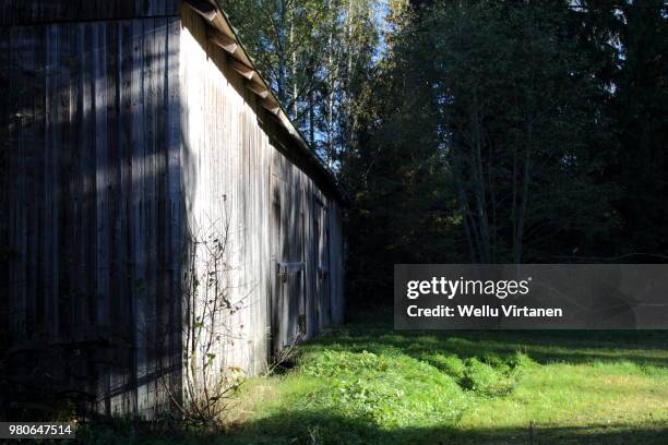 a barn painted by autumn sun - virtanen imagens e fotografias de stock