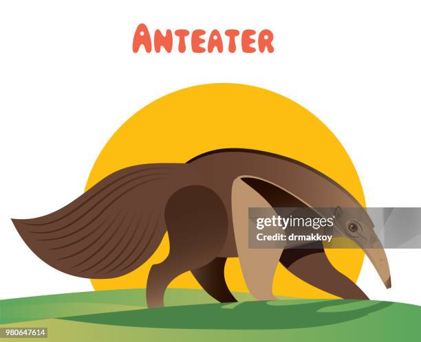 食蟻獸 - anteater 幅插畫檔、美工圖案、卡通及圖標