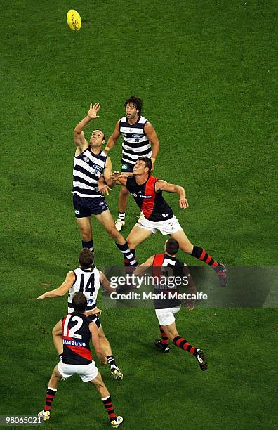 Brad Ottens of the Cats and David Hille of the Bombers compete for the ball during the round one AFL match between the Geelong Cats and the Essendon...