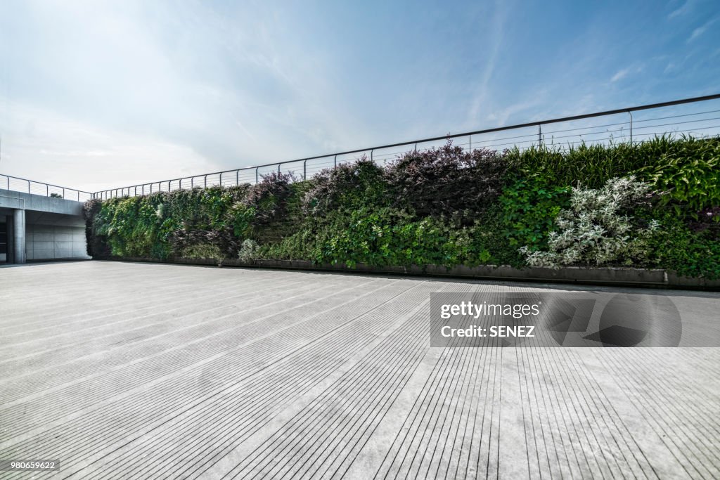 Wall decorated with the plants