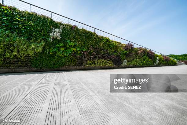 wall decorated with the plants - green building design stock pictures, royalty-free photos & images