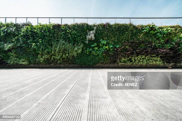 wall decorated with the plants - city wall ストックフォトと画像